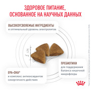 Royal Canin Gastrointestinal Корм сухой диетический для взрослых кошек, применяемый при острых расстройствах пищеварения, в реабилитационный период и при истощении