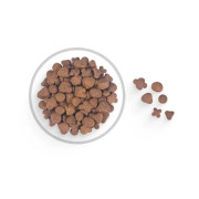 Royal Canin Club Energy HE корм для активных взрослых собак всех пород