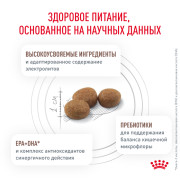 Royal Canin Gastrointestinal Low Fat Корм сухой диетический для собак при нарушениях пищеварения