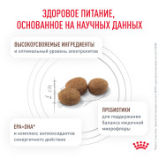 Rоyal Canin Gastrointestinal Moderate Calorie GIM35 Корм сухой для кошек, склонных к набору веса, при расстройствах пищеварения