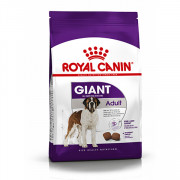 Royal Canin Giant Adult Корм сухой для взрослых собак очень крупных размеров от 18 месяцев