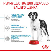 Royal Canin Giant Junior Корм сухой для щенков очень крупных размеров до 18 месяцев