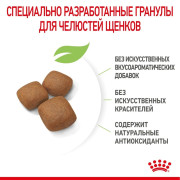Royal Canin Giant Junior Корм сухой для щенков очень крупных размеров до 18 месяцев