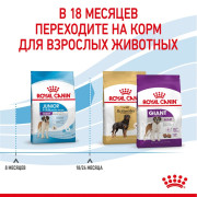Royal Canin Giant Junior Корм сухой для щенков очень крупных размеров до 18 месяцев