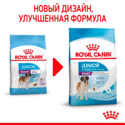 Royal Canin Giant Junior Корм сухой для щенков очень крупных размеров до 18 месяцев