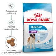Royal Canin Giant Junior Корм сухой для щенков очень крупных размеров до 18 месяцев
