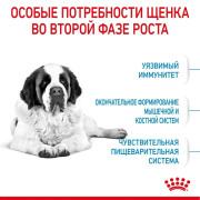 Royal Canin Giant Junior Корм сухой для щенков очень крупных размеров до 18 месяцев