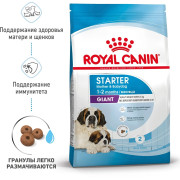 Royal Canin Giant Starter Mother & Babydog Корм для щенков гигантских пород до 2-х месяцев, беременных и кормящих сук