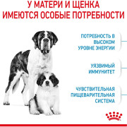 Royal Canin Giant Starter Mother & Babydog Корм для щенков гигантских пород до 2-х месяцев, беременных и кормящих сук