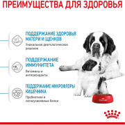Royal Canin Giant Starter Mother & Babydog Корм для щенков гигантских пород до 2-х месяцев, беременных и кормящих сук