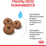 Royal Canin Giant Starter Mother & Babydog Корм для щенков гигантских пород до 2-х месяцев, беременных и кормящих сук