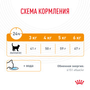 Royal Canin Hair & Skin Care корм для кошек с чувствительной кожей