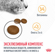 Royal Canin Hair & Skin Care корм для кошек с чувствительной кожей