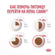 Royal Canin Hair & Skin Care корм для кошек с чувствительной кожей