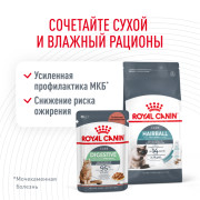 Royal Canin Hairball Care корм для удаления волосяных комочков из желудка