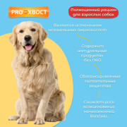 ПРОХВОСТ корм сухой для собак говядина