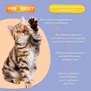 ПРОХВОСТ корм для кошек курица