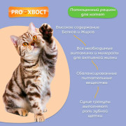 ПРОХВОСТ корм для кошек говядина