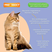 ПРОХВОСТ пауч для кошек говядина в соусе