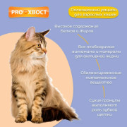 ПРОХВОСТ пауч для кошек индейка в соусе