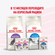 Royal Canin Kitten Sterilised корм консервированный для стерилизованных котят, кусочки в желе