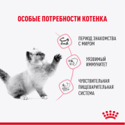 Royal Canin Kitten Sterilised корм консервированный для стерилизованных котят, кусочки в желе