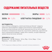 Royal Canin Kitten Sterilised корм консервированный для стерилизованных котят, кусочки в желе