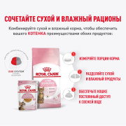 Royal Canin Kitten Sterilised корм консервированный для стерилизованных котят, кусочки в желе