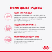 Royal Canin Kitten Sterilised корм консервированный для стерилизованных котят, кусочки в желе
