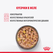 Royal Canin Kitten Sterilised корм консервированный для стерилизованных котят, кусочки в желе