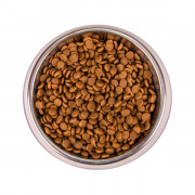 Monge Cat  Trout Kitten Monoprotein корм сухой для котят с форелью