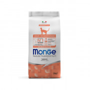 Monge Cat Adult Salmon корм  сухой для взрослых кошек с лососем