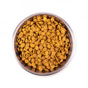 Monge Cat Monoprotein Sterilised Trout корм для стерилизованных кошек с форелью