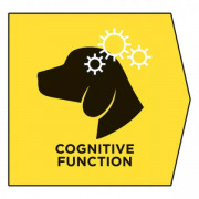 Purina Pro Plan Veterinary Diets NC NeuroCare корм сухой для взрослых и пожилых собак для поддержания функции мозга