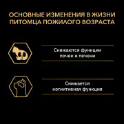 Влажный корм PRO PLAN MAINTENANCE для взрослых кошек старше 7 лет, с индейкой в соусе