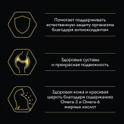 Влажный корм PRO PLAN MAINTENANCE для взрослых кошек, с уткой в соусе