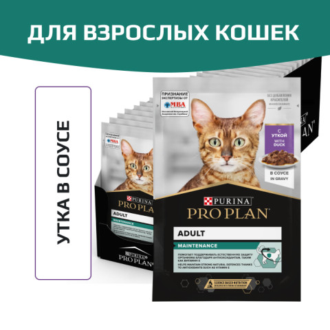 Влажный корм PRO PLAN MAINTENANCE для взрослых кошек, с уткой в соусе