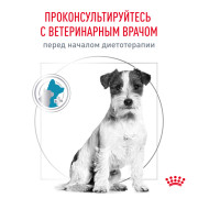 Royal Canin Hypoallergenic Small Dog корм для собак мелких пород при аллергии или пищевой непереносимости