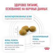Royal Canin Hypoallergenic Small Dog корм для собак мелких пород при аллергии или пищевой непереносимости