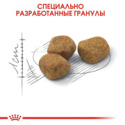 Royal Canin Indoor 7+ корм для пожилых кошек старше 7 лет живущих в помещении