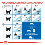 Royal Canin Indoor Appetite Control корм для кошек живущих в помещении и склонных к полноте