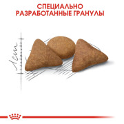Royal Canin Indoor Appetite Control корм для кошек живущих в помещении и склонных к полноте