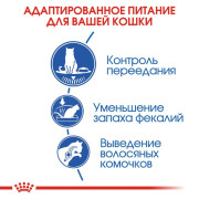 Royal Canin Indoor Appetite Control корм для кошек живущих в помещении и склонных к полноте