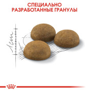 Royal Canin Indoor Long Hair для длинношерстных кошек