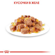 Royal Canin Instinctive консервы для кошек, пауч (кусочки в желе)