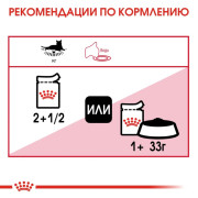 Royal Canin Instinctive консервы для кошек, пауч (кусочки в желе)