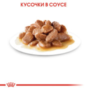 Royal Canin Instinctive Корм консервированный для взрослых кошек, соус, 85г