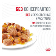 Royal Canin Hair&Skin Care корм влажный для кошек для поддержания здоровья кожи и красоты шерсти, кусочки в желе
