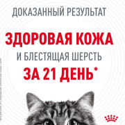 Royal Canin Hair&Skin Care корм влажный для кошек для поддержания здоровья кожи и красоты шерсти, кусочки в соусе