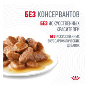 Royal Canin Hair&Skin Care корм влажный для кошек для поддержания здоровья кожи и красоты шерсти, кусочки в соусе